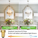 GoBright 24-Pack Dimmable E12 Candelabra Light Bulbs 60 Watt Equivalent - Like New