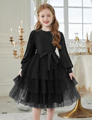 ARSHINER TODDLER TUTU FALL WINTER PUFF LONG SLEEVE TULLE DRESSES 2T - BLACK - Like New