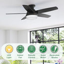 Hunter Fan 48 Inch 5-Blade Ceiling Fan, Light, Low Profile, Remote - Matte Black - Brand New