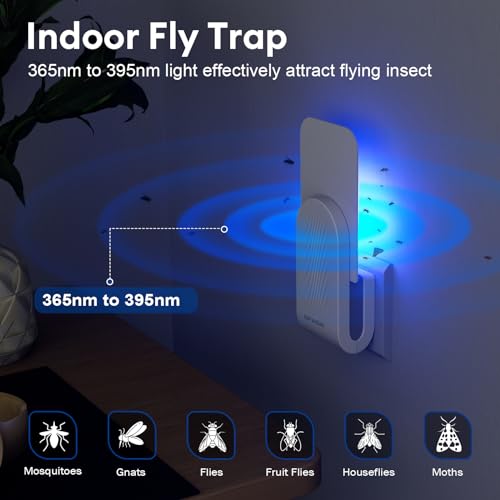 DFAGIE Fly Trap Indoor (1 Device + 5 Glue Cards), Plug-in, Mosquito, White - Like New