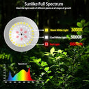 DANSHINRO 6-LIGHT OUTDOOR LED GROW LIGHTS 21.3FT STRING LIGHTS PALE RED - Like New