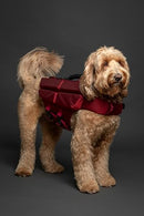 NOAH & PAW DOG LIFE JACKET DESIGNED WITH HUMAN STANDARDS 4X FOAM 4X  - BURGUNDY - Like New