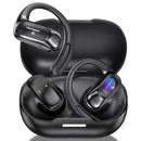 TECSONIC AI TRANSLATOR EARBUDS REAL-TIME 2-WAY VOICE 164 LANGUAGES NO SUBSCRIPTI - Like New