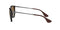 Ray-Ban RB4171 ERIKA CLASSIC - Matte Havana/Brown - Size 54/18 - Like New