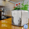 Dreamiracle Ice Maker Machine for Countertop, Dreamiracle Ice - Scratch & Dent