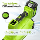 SUNCHERS ELECTRIC LEAF BLOWER CORDLESS 2 3.0AH BATTERY CHARGER RC3009 - GREEN - Like New