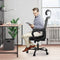 JHK OFFICE HIGH BACK MESH COMPUTER LUMBAR HEIGHT SWIVEL TASK C-6579-BK - BLACK - Like New