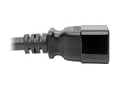 Tripp Lite Power Extension Cord C20 to Locking C19 M/F 12AWG 20A Black 10ft