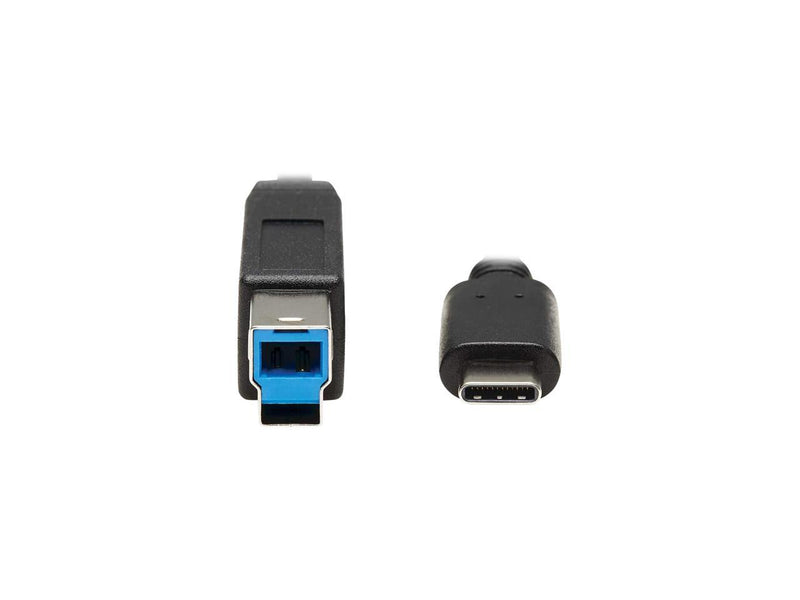 Tripp Lite U422-20N-G2 Black USB-C to USB Type-B Cable (M/M) - USB 3.1, Gen 2