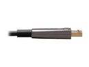 Tripp Lite P580F3-15M-8K6 Black DisplayPort Active Optical Cable (AOC) - UHD 8K