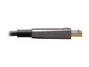 Tripp Lite P580F3-30M-8K6 Black DisplayPort Active Optical Cable (AOC) - UHD 8K