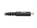 USB4 Cable USB C 8K60Hz 100W Charging USB Type C M/M Black 31in