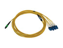 Tripp Lite Single Mode Fiber Patch Cable, 9/125 OS2 MPO to 4x Switchable LC