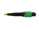 Tripp Lite Single Mode Fiber Patch Cable, 9/125 OS2 MPO to 4x Switchable LC