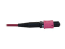 Tripp Lite Multimode Fiber Patch Cable, 50/125 OM4 MPO to MPO (F/F), 12 Fiber,