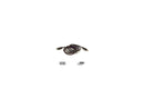 Belkin F3U134b03 Black USB Extender Cable