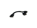 TRIPP LITE 1 ft. DMS59 to (2) VGA Female Splitter Cable P574-001