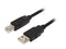 StarTech.com USB2HAB6 Black USB 2.0 Certified A to B Cable - M/M