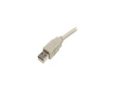 StarTech.com USBEXTAA10 Beige USB 2.0 Extension Cable A to A