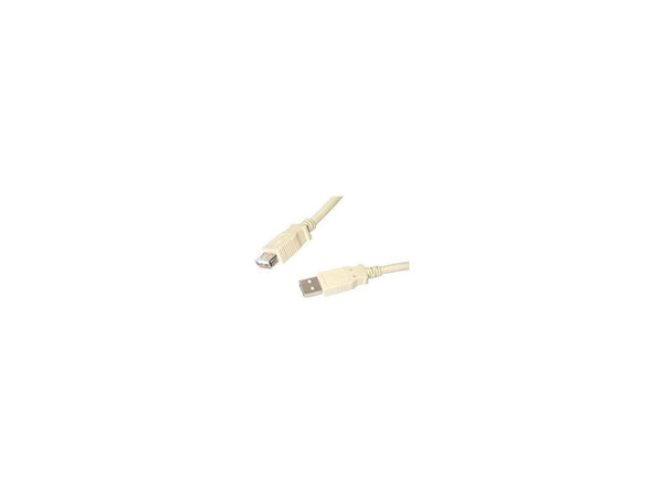 StarTech.com USBEXTAA_6 Beige USB 2.0 Extension Cable A to A - M/F