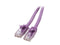 StarTech.com N6PATCH10PL 10 ft. Cat 6 Purple Snagless UTP Patch Cable - ETL