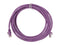 StarTech.com N6PATCH10PL 10 ft. Cat 6 Purple Snagless UTP Patch Cable - ETL