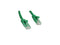 StarTech.com N6PATCH100GN 100 ft. Cat 6 Green Snagless Cat6 UTP Patch Cable -