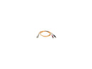 Tripp Lite N518-01M 3 ft. Fiber Optic Duplex Patch Cable Male to Male