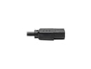 Tripp Lite Universal Computer Power Cord, 13A, 16AWG (NEMA 5-15P to