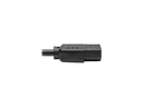 Tripp Lite Universal Computer Power Cord, 10A, 18AWG (NEMA 5-15P to