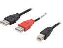 Cables To Go 28108 Black USB 2.0 One B Male to Two A Male Y-Cable