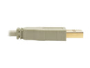 Tripp Lite USB 2.0 Hi-Speed A/B Cable (M/M), Beige, 15 ft