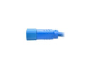 Tripp Lite Model P004-002-ABL 2 ft. Standard Computer Power Extension Cord, 10A,