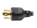 Tripp Lite Model P046-010-LL-30A 10 ft. Heavy-Duty Power Extension Cord, 30A, 10
