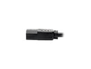 Tripp Lite Dual IEC Power Cord Splitter Cable 5-15P to 2x IEC-320 C13 18in