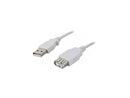Nippon Labs Beige 3 ft. USB Cable A/Male to A/Female Extension USB Cable Model