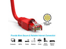 Nippon Labs 60CAT6A-6RD 6 ft Cat Cat6A Red 6 FT NE NL