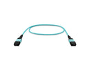 Nippon Labs 30FP-12MPO-4BFF12-01 30FP-12MPO-4BFF12-01 Female to Female