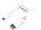 StarTech.com CDP2DPMM6W 6ft USB C to DisplayPort Cable - White - 4K 60Hz