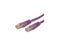 StarTech.com C6PATCH25PL 25 ft. Cat 6 Purple Molded UTP Gigabit Patch Cable