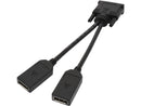 StarTech DMS-59 to DisplayPort - 8in - DMS 59 to 2x DP - Y Cable -