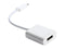 Coboc AD-ALT-C2DP-6WH 6inch White DisplayPort ALT USB 3.1 Type C to DisplayPort