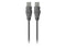 Belkin F3U131-10 10 ft. USB A Male to Male Transfer Cable