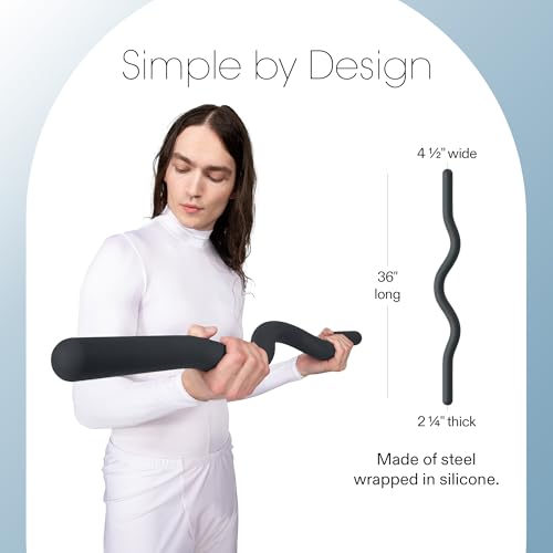 Bala Beam Curl Bar - 15lbs - Charcoal - Like New