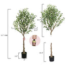 4.4 / 5 ( 9 Ratings ) GUYUSO 5.3ft (1170lvs) Artificial Olive Treeಾಚा - Like New