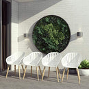 Midtown Concept Brampton Chiavari Outdoor Chairs Set of 4, Light Teak Finish - Like New