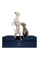 NOAH & PAW LARGE DOG BED 35X25X11 ORTHOPEDIC DOG BEDS DENIM SOFA COLLECTION - Brand New