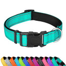 PWOD Dog Collar Adjustable Soft Neoprene Padded Nylon PetsGXQ02 - Teal L - Like New
