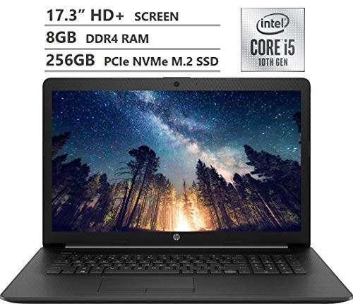 HP 17-BY3613DX 17.3" 1600 X 900 HD+ I5-1035G1 8GB 256GB SSD - Scratch & Dent