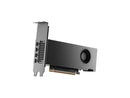 NVIDIA RTX PRO 2000 Blackwell Graphic Card - 16 GB GDDR7 ECC - PCIe 5.0 x8 -
